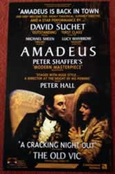 Amadeus Back